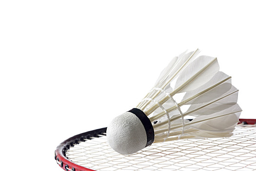 阿森纳式的 阿森纳式的